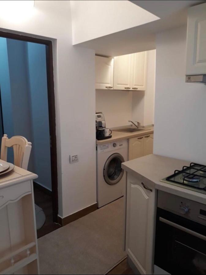 Apartament Garsoniera Lux Centru Pietonal Tirgu - Jiu Târgu Jiu Zewnętrze zdjęcie