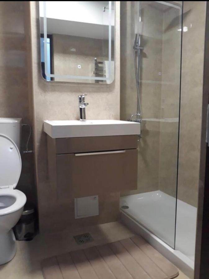 Apartament Garsoniera Lux Centru Pietonal Tirgu - Jiu Târgu Jiu Zewnętrze zdjęcie