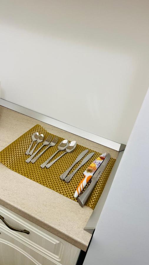 Apartament Garsoniera Lux Centru Pietonal Tirgu - Jiu Târgu Jiu Zewnętrze zdjęcie